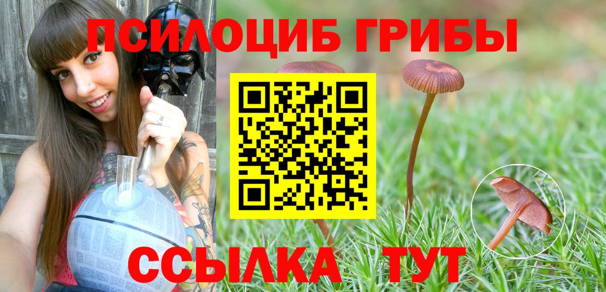 Псилоцибиновые грибы ЛСД Иркутск