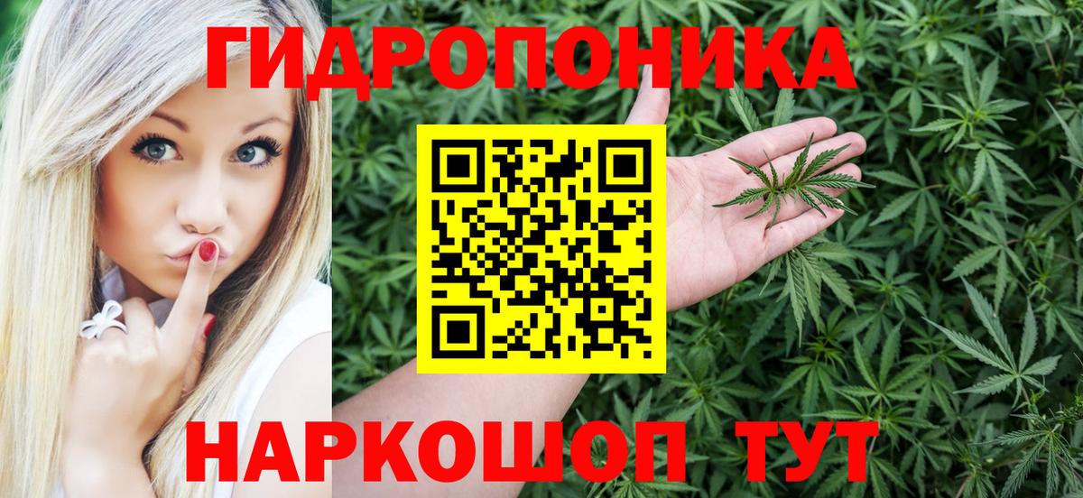 Иркутск  Канабис Bruce Banner  Вход с VPN  Каннабис конопля  Конопля конопля 